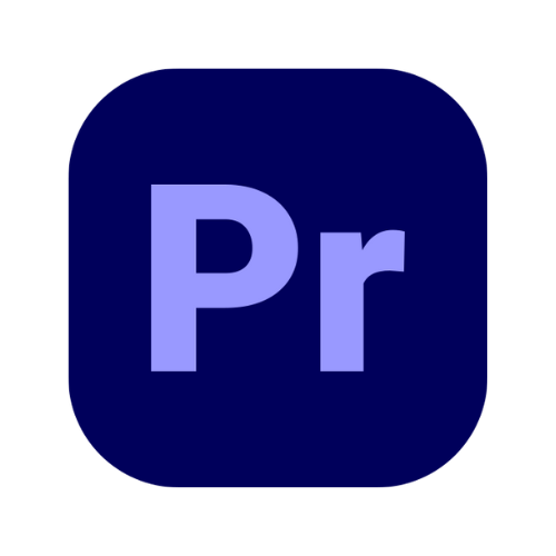 Professional Video Editing